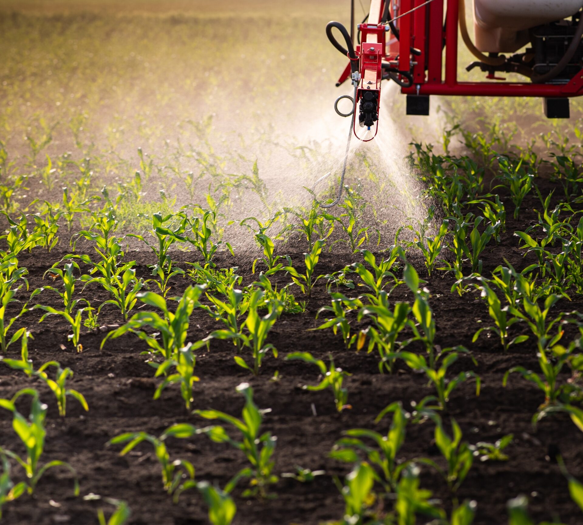 Fertilizer Sector Evaluation & Investment…